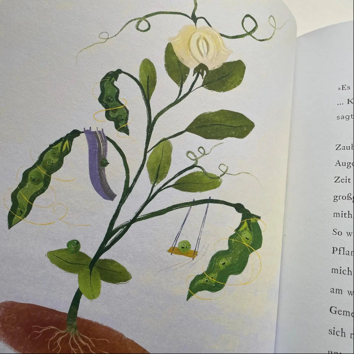 Illustration Erbsenpflanze mit kleinen Erbsen – Innenseite Kinderbuch Mimo franzizo