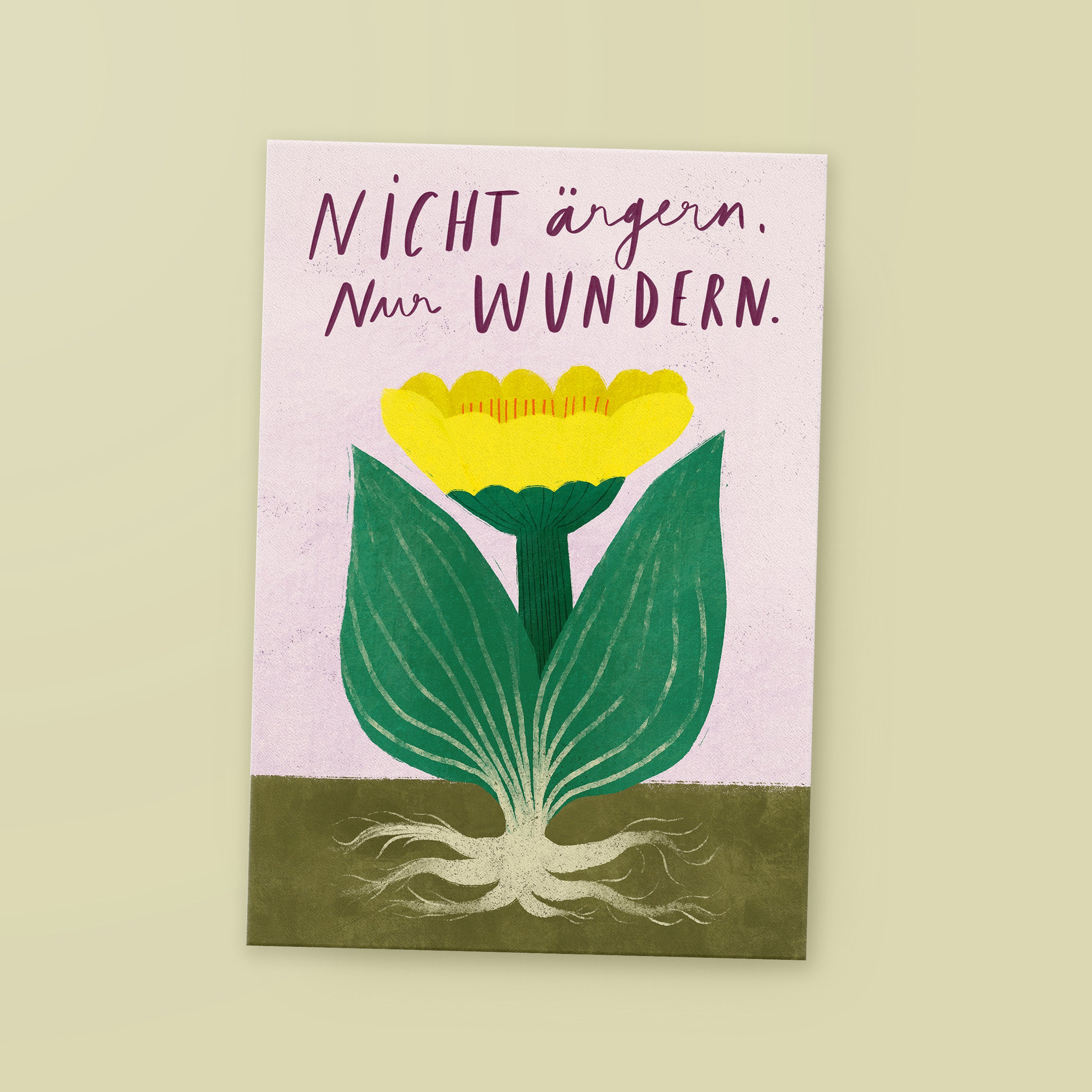 Postcard »Wonder«