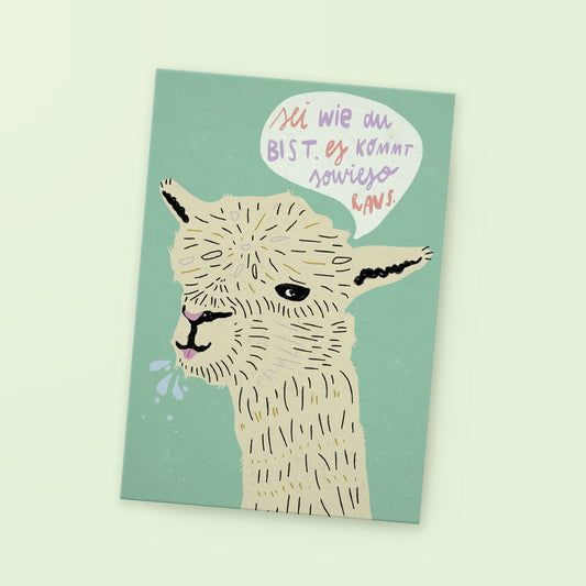 Postkarte »Lama«